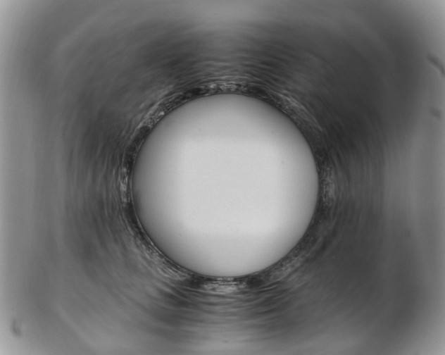 X0000103140661200808221105