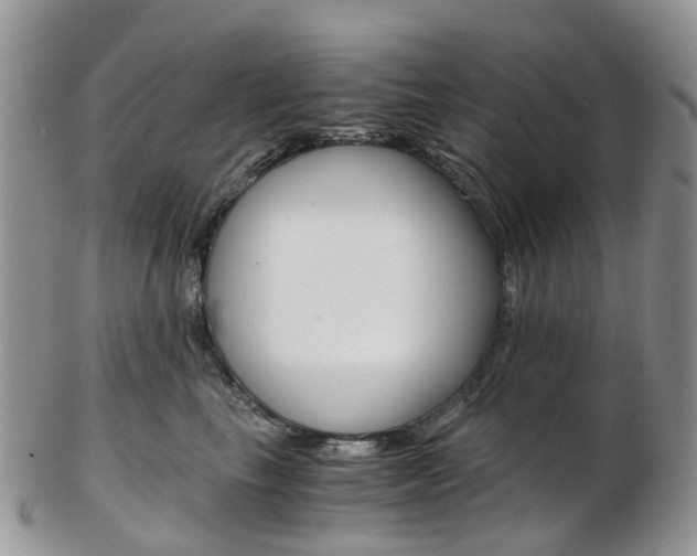 X0000103140665200808221105