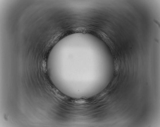 X0000103140669200808221105