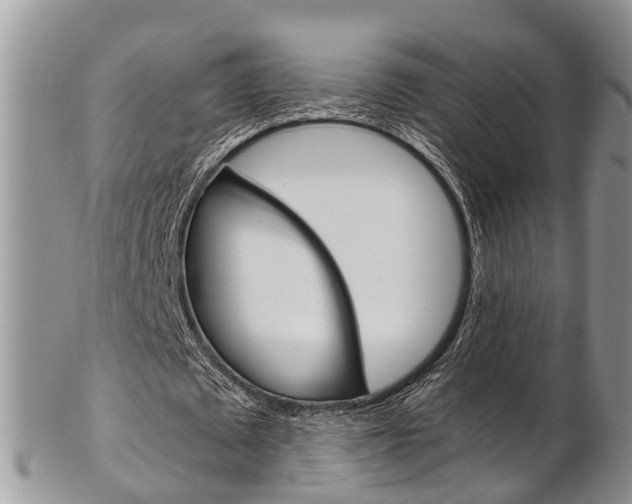 X0000103140673200808221105