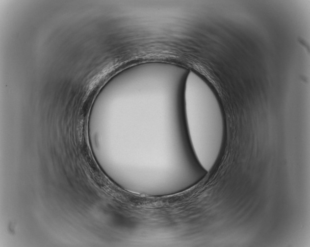 X0000103140675200808221105
