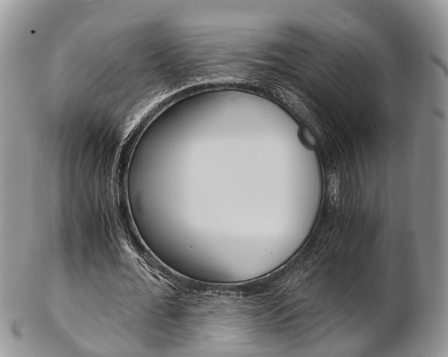 X0000103140676200808221105