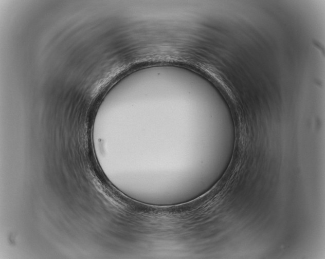 X0000103140677200808221105