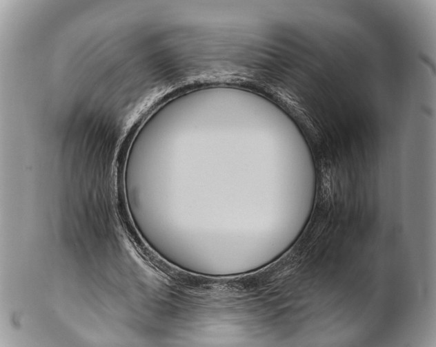 X0000103140678200808221105