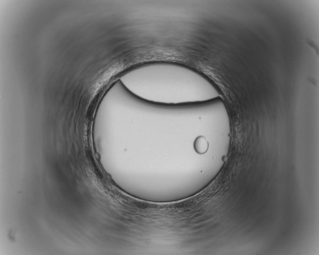 X0000103140679200808221105