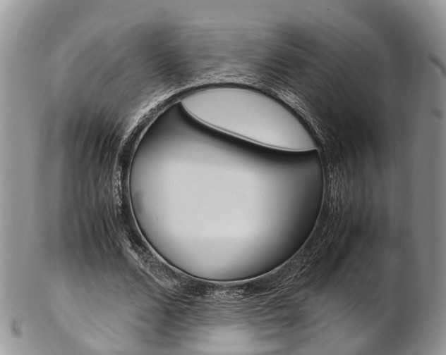 X0000103140680200808221105