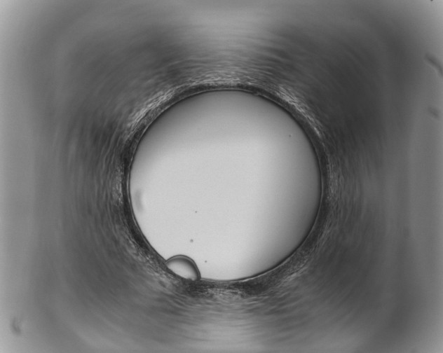 X0000103140681200808221105