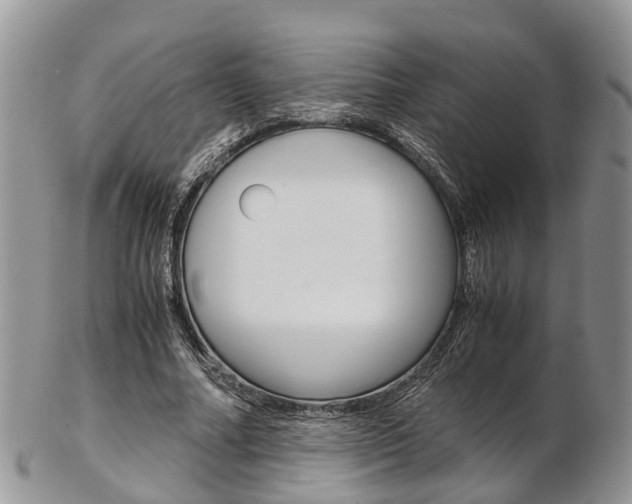 X0000103140682200808221105
