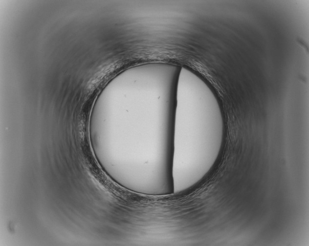 X0000103140683200808221105