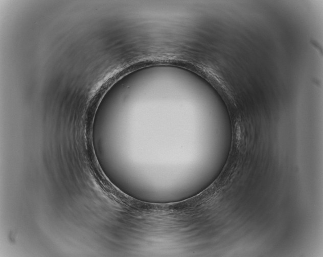 X0000103140684200808221105