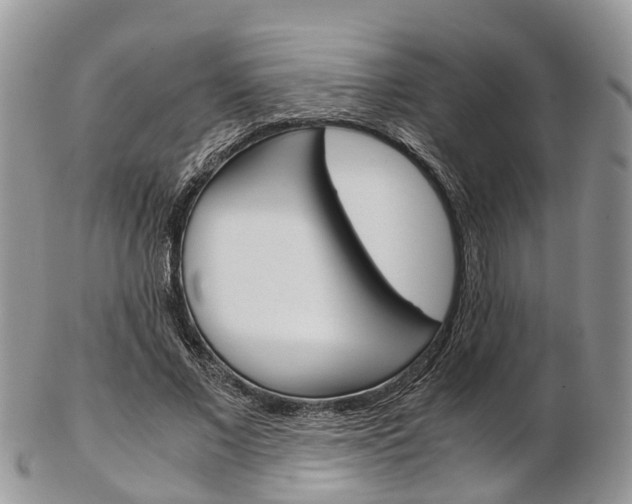 X0000103140685200808221105