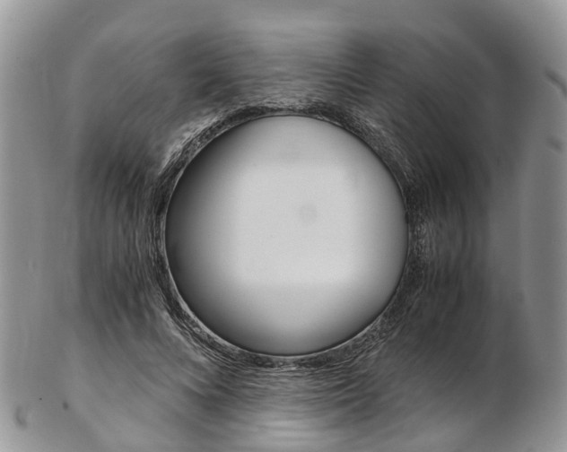 X0000103140688200808221105