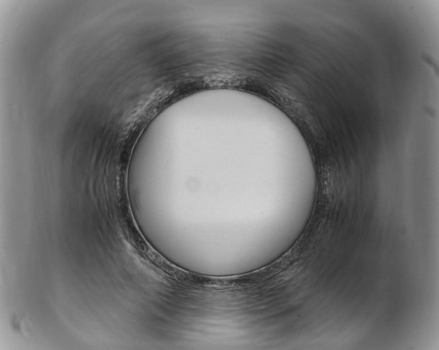 X0000103140690200808221105