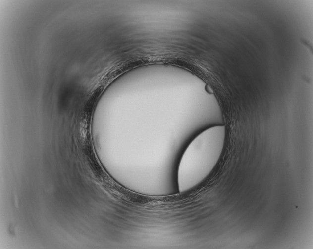X0000103140691200808221105