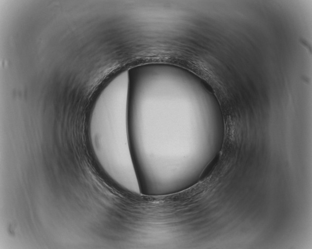 X0000103140692200808221104