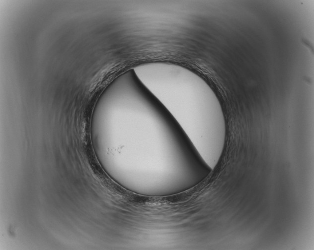 X0000103140693200808221104