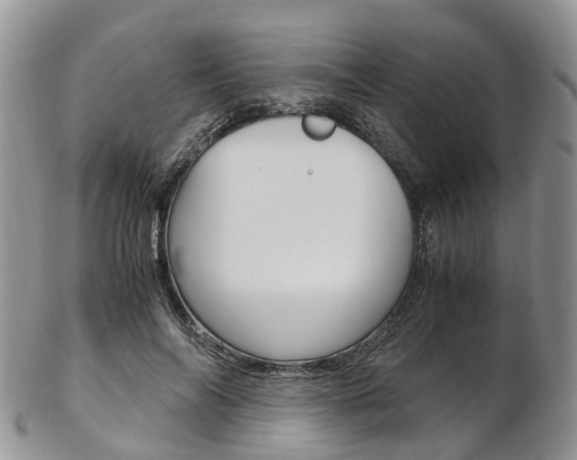 X0000103140694200808221104