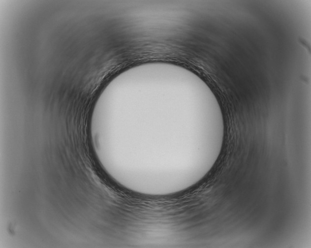 X0000103140695200808221104