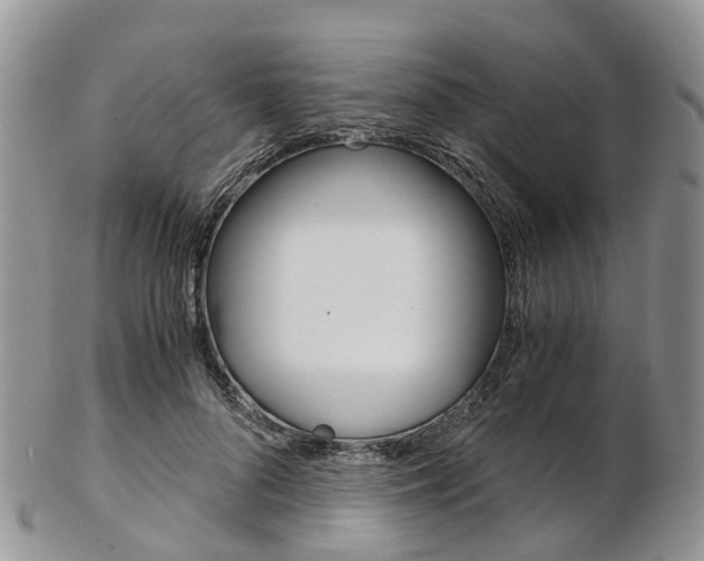 X0000103140696200808221104