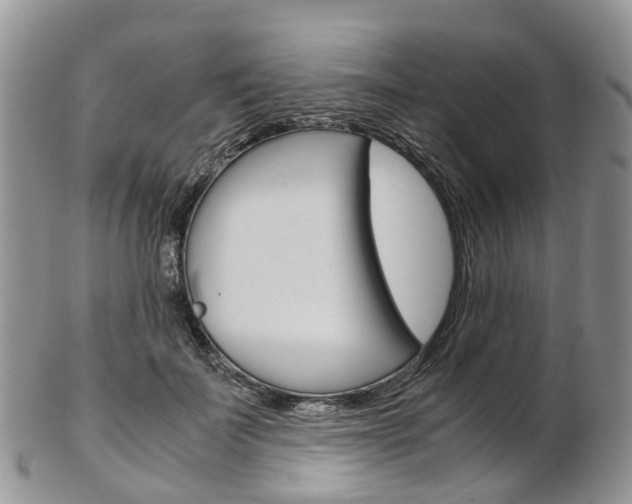 X0000103140699200808221104