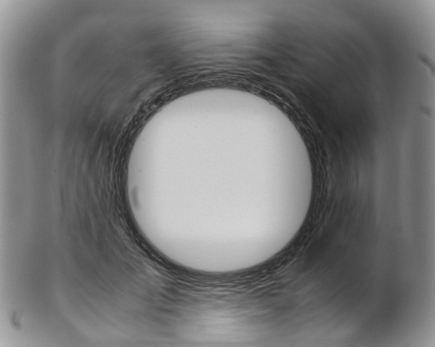 X0000103140701200808221104