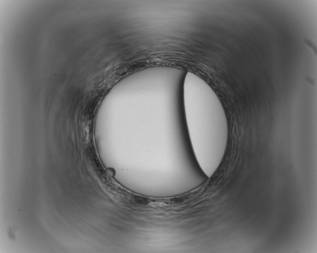 X0000103140703200808221104