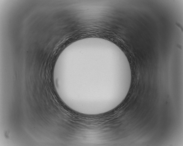 X0000103140705200808221104