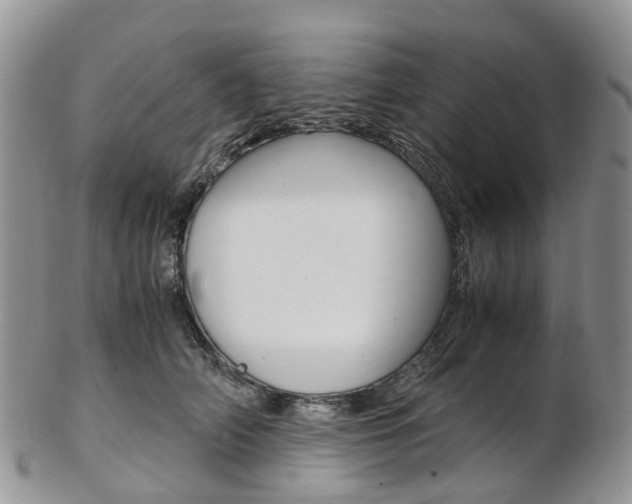 X0000103140706200808221104
