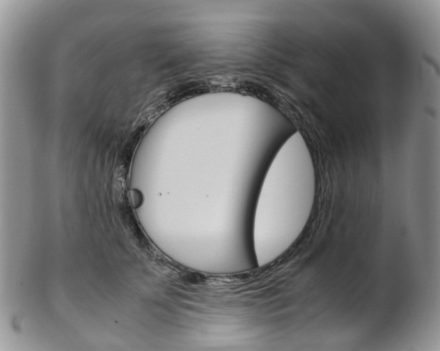 X0000103140707200808221104