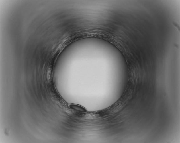 X0000103140708200808221104