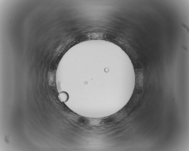 X0000103140709200808221104