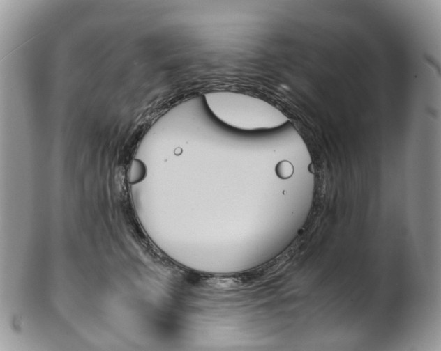 X0000103140711200808221104