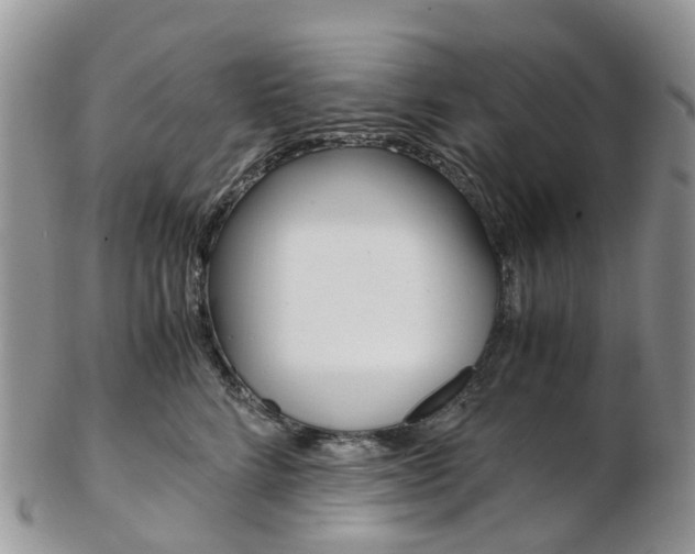 X0000103140712200808221104