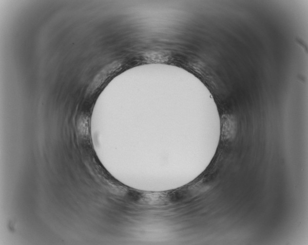 X0000103140713200808221104