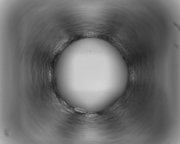 X0000103140716200808221104