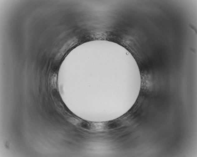 X0000103140717200808221104