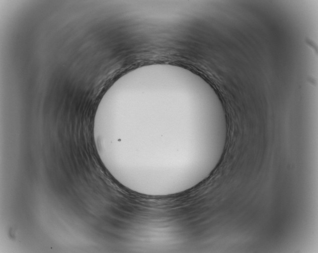 X0000103140720200808221104