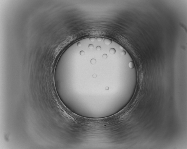 X0000103140721200808221103