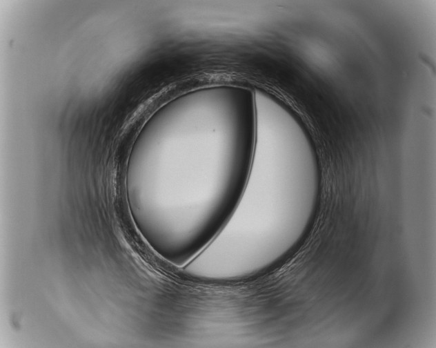 X0000103140722200808221103