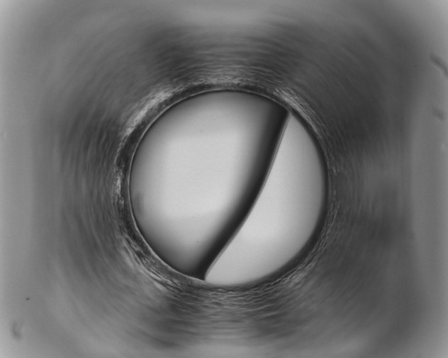 X0000103140723200808221103