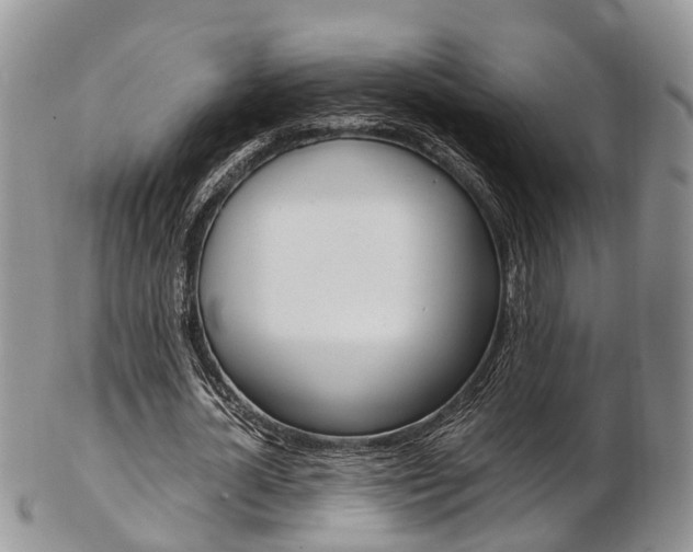 X0000103140724200808221103