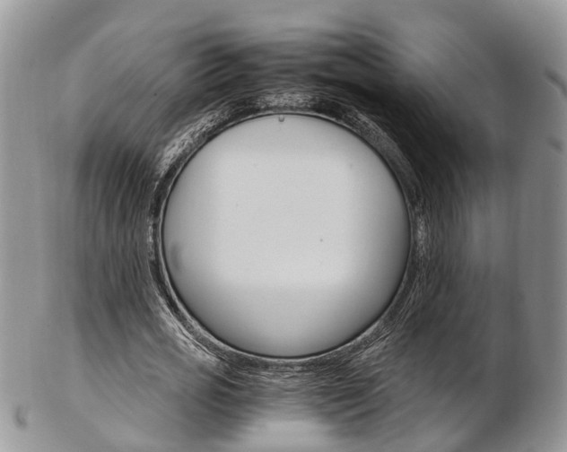 X0000103140725200808221103
