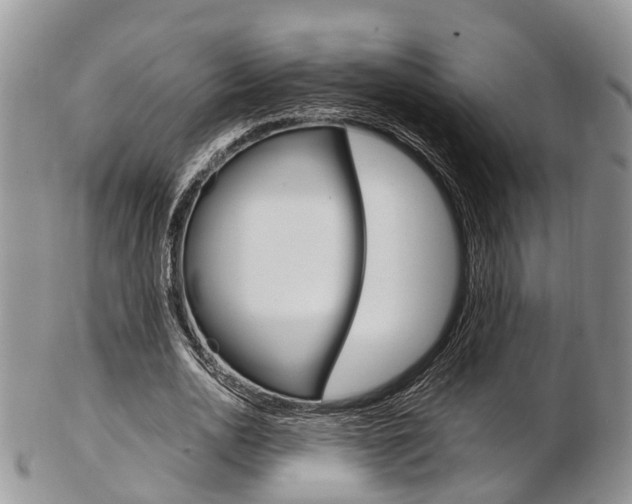 X0000103140726200808221104