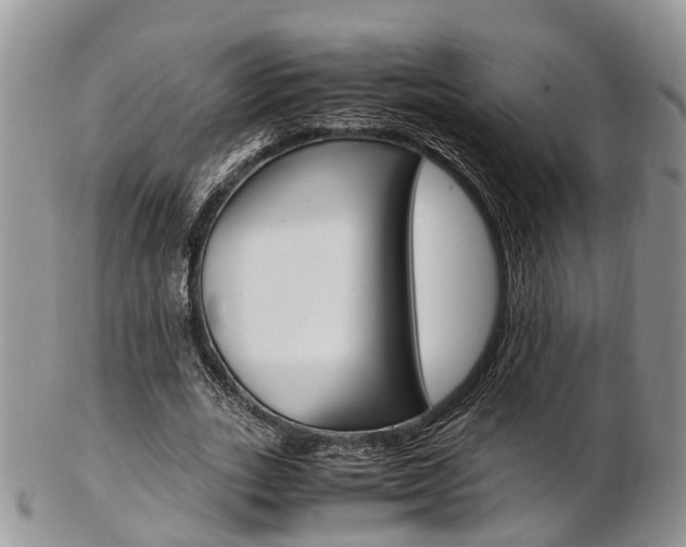 X0000103140727200808221104