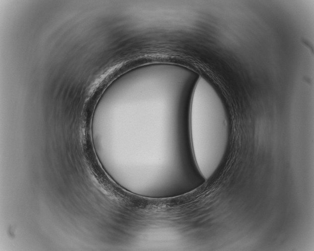 X0000103140728200808221104