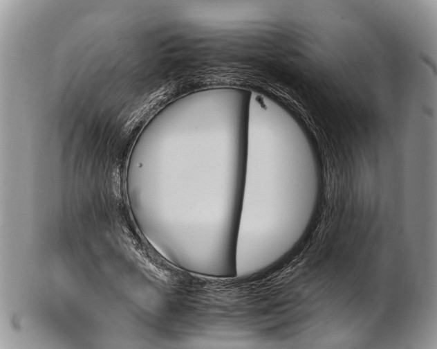 X0000103140729200808221104