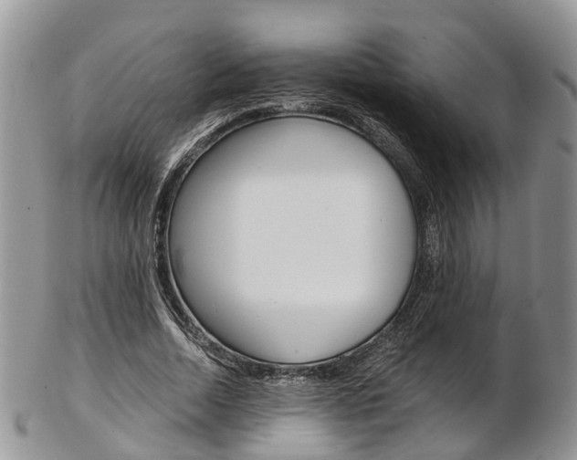 X0000103140730200808221104