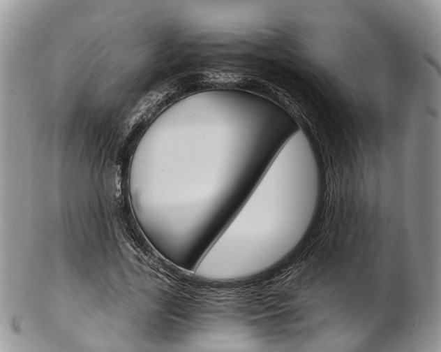 X0000103140731200808221104