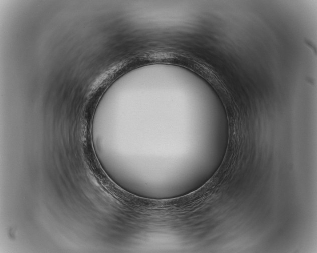 X0000103140732200808221104
