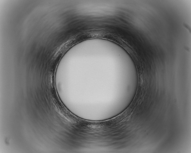 X0000103140733200808221104